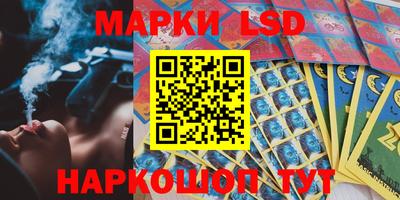 спиды Гатчина