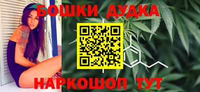 гашик Гай