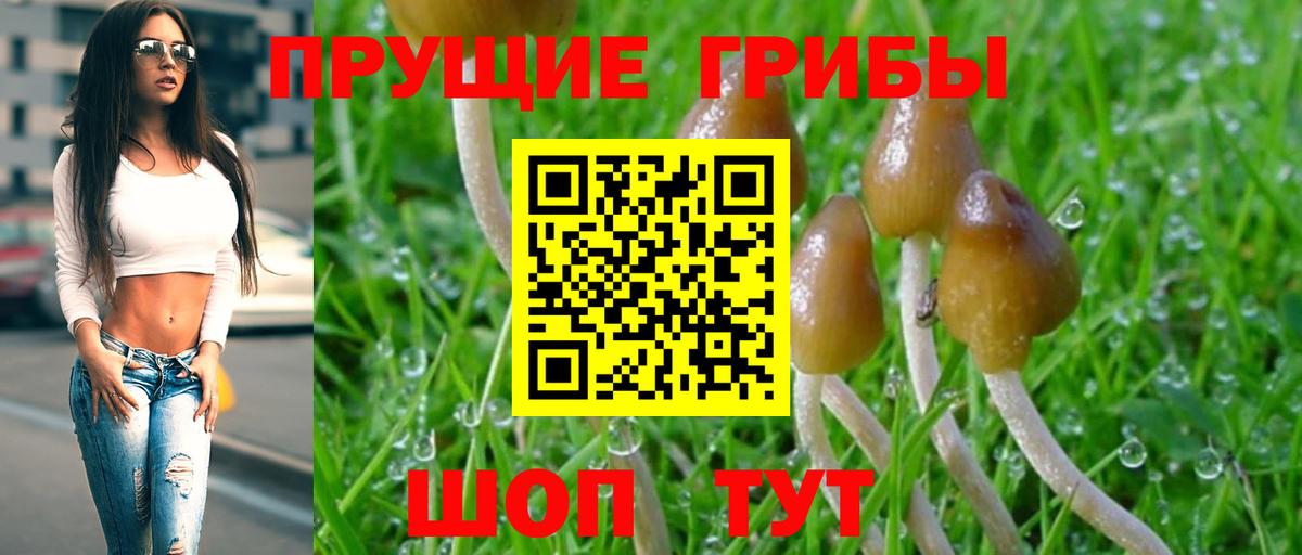 Псилоцибиновые грибы MAGIC MUSHROOMS Трёхгорный